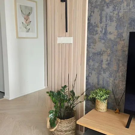Vektor 4room