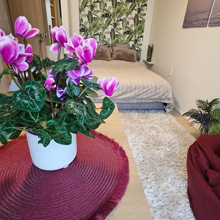 公寓 City Tallinn *