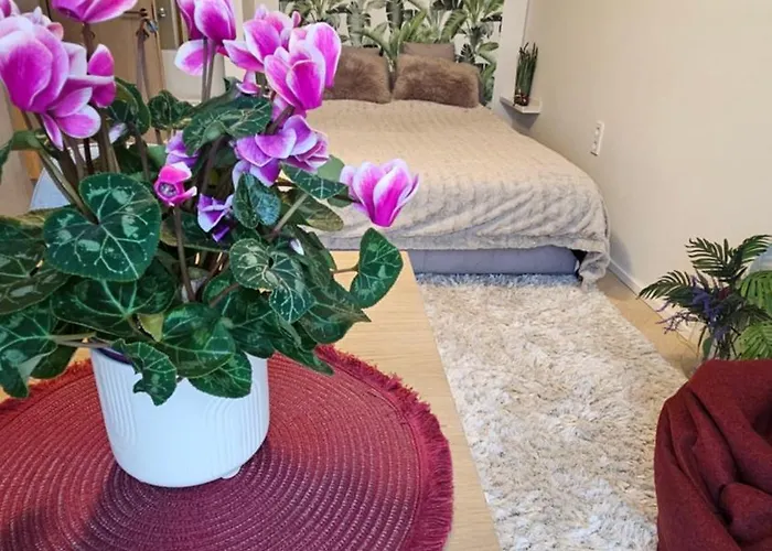 アパート City Tallinn *