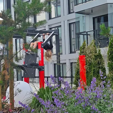 City Tallinn * 塔林